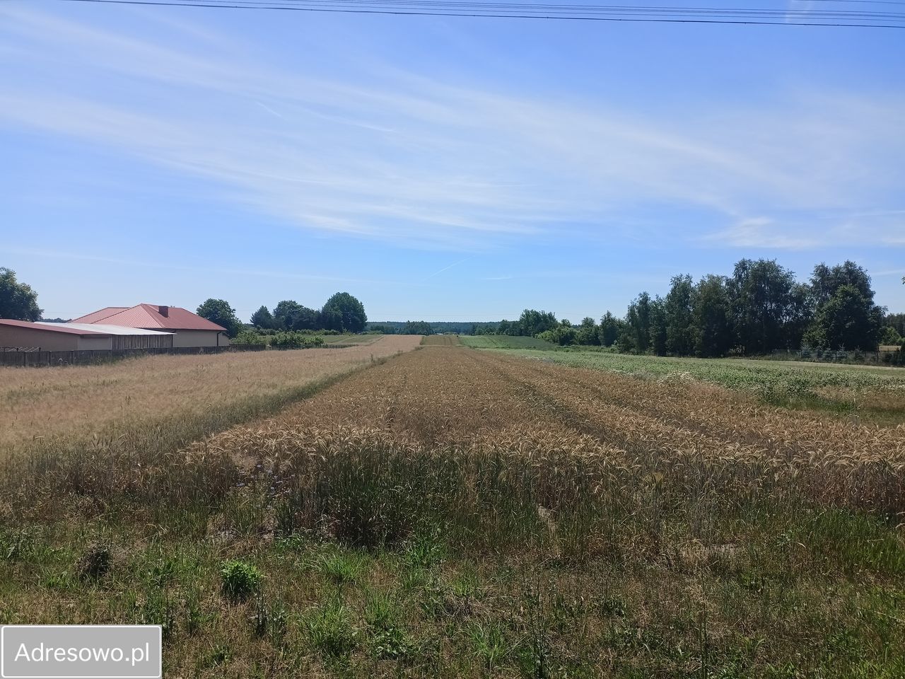 Działka rolno-budowlana Jasieniec Iłżecki Górny. Zdjęcie 1