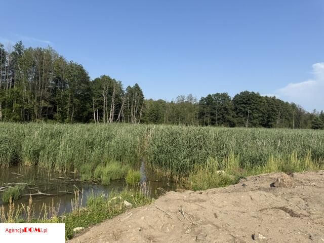 Działka budowlana Zboiska, ul. Wspólna. Zdjęcie 5