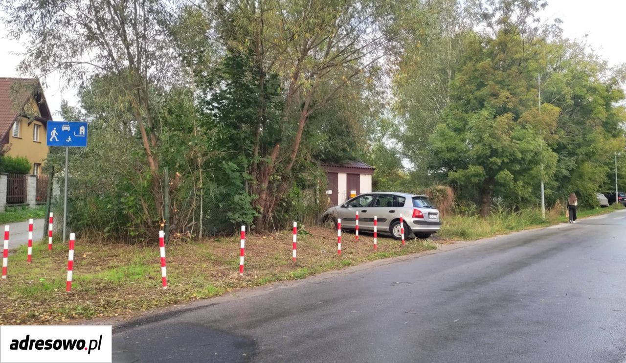 Zdjęcie 6