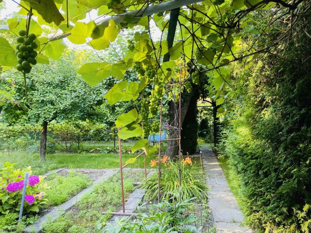 Działka rekreacyjna Warszawa Mokotów, ul. Żwirki i Wigury. Zdjęcie 1