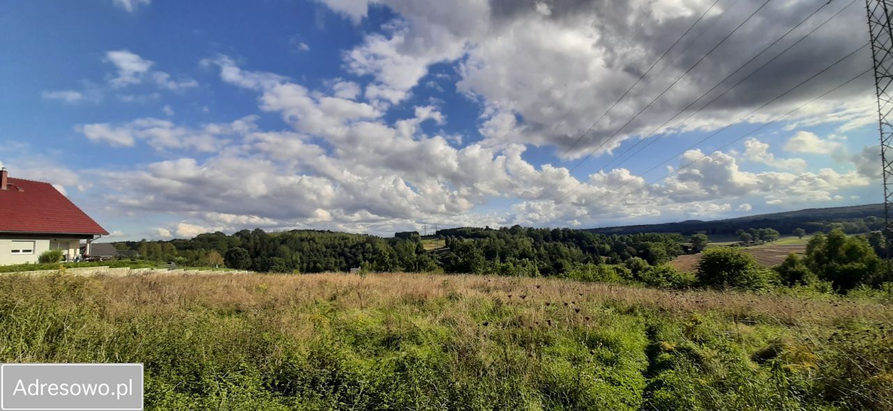 Działka budowlana Lwówek Śląski, ul. Jastrzębia. Zdjęcie 6