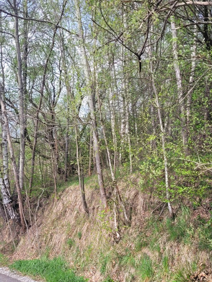 Działka budowlana Naprawa. Zdjęcie 7