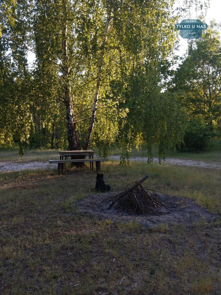 Działka siedliskowa Strobin. Zdjęcie 13