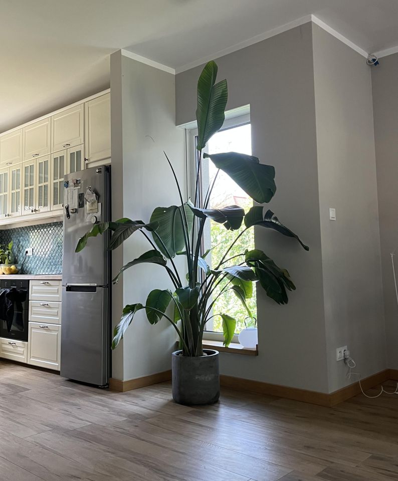 bliźniak, 4 pokoje Borówiec, Widokowa. Zdjęcie 5