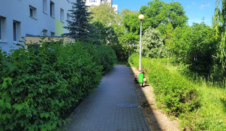 Mieszkanie 3-pokojowe Zielona Góra Centrum, ul. Aleja Wojska Polskiego