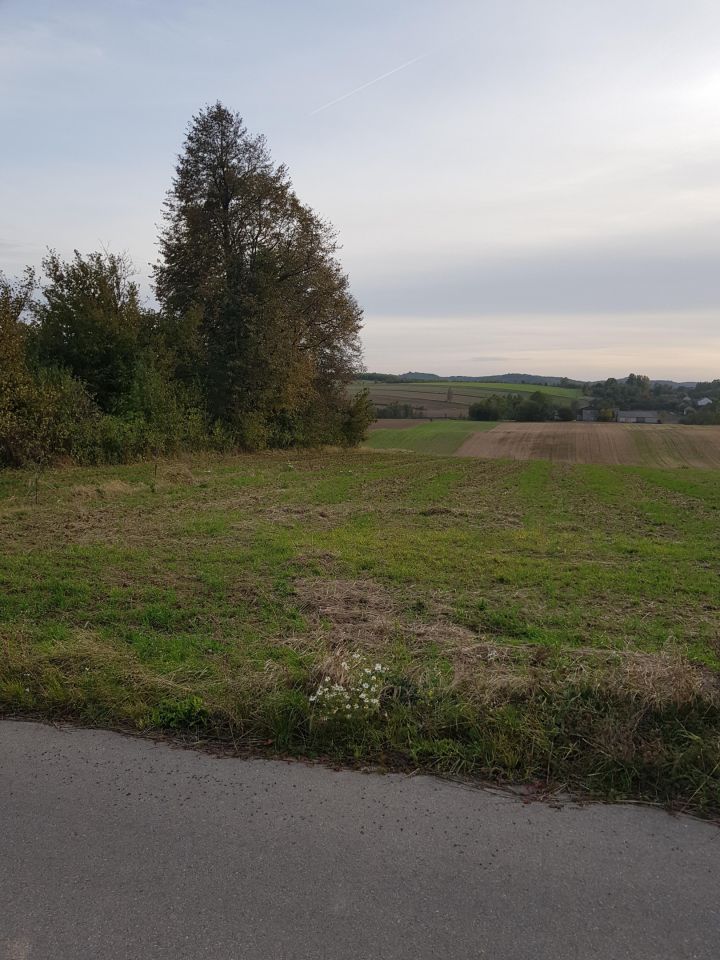 Działka rolno-budowlana Dobrogoszczyce, brak. Zdjęcie 5
