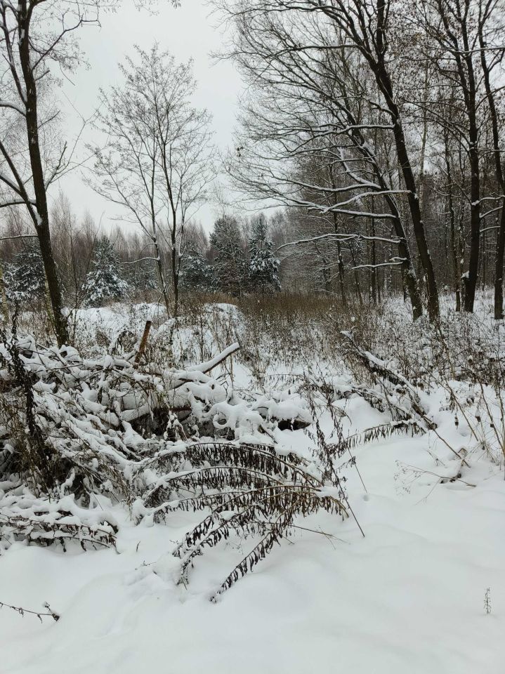 Działka Czekaj. Zdjęcie 3