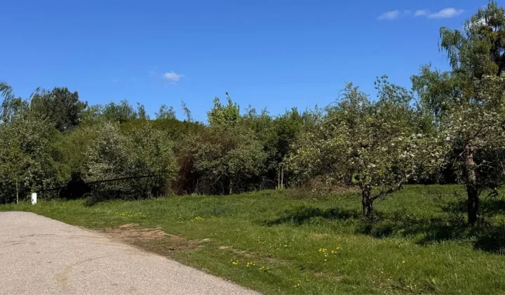 Działka budowlana Kuznocin