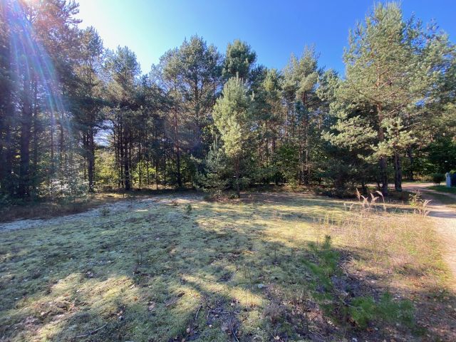 Działka rekreacyjna Żarki, ul. Czarka. Zdjęcie 1