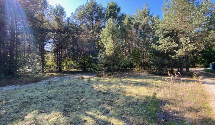 Działka rekreacyjna Żarki, ul. Czarka