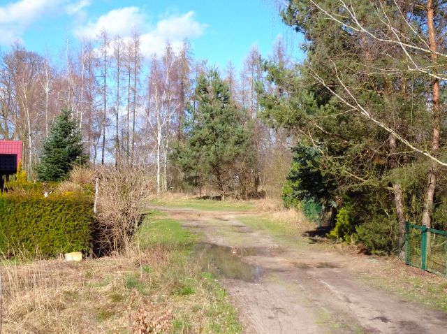 Działka rekreacyjna Stary Dębiec, os. Kasztanowe. Zdjęcie 1