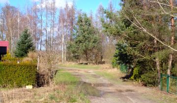 Działka rekreacyjna Stary Dębiec, os. Kasztanowe