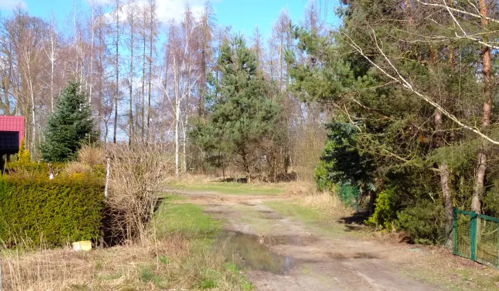 Działka rekreacyjna Stary Dębiec, os. Kasztanowe