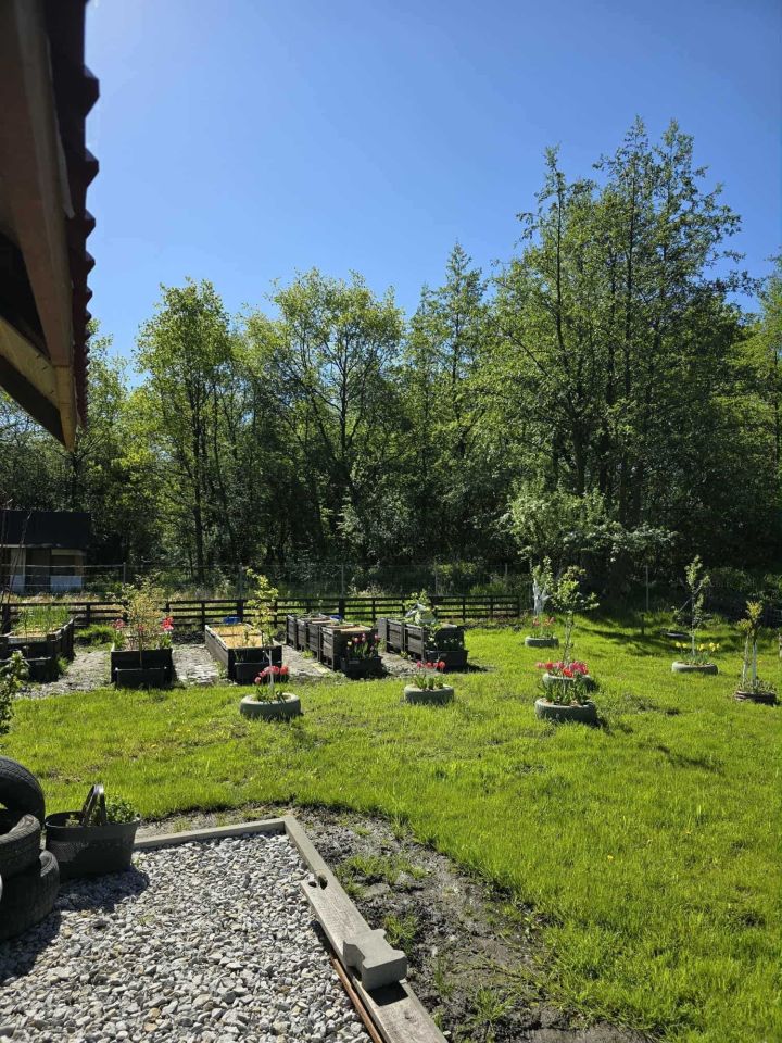 Działka rod Wrocław Kłokoczyce. Zdjęcie 4