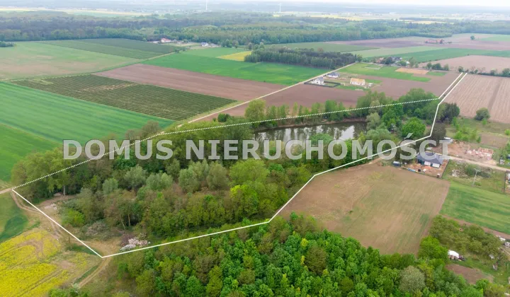 Działka rolna Kutno