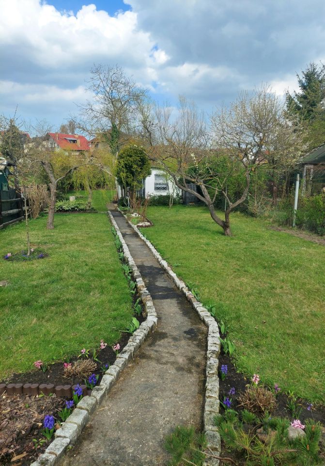 Działka rod Szczecin Gumieńce, ul. Ku Słońcu. Zdjęcie 7