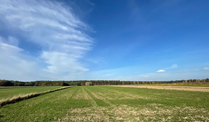 Działka rolna Zbrzeżnica