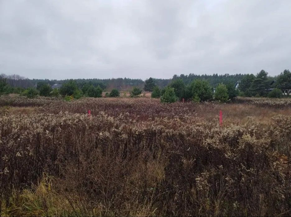 Działka budowlana Silno Nowy Świat, ul. Lisia. Zdjęcie 2