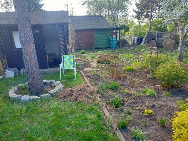 Działka rod Wrocław Nowy Dwór, ul. Jaksonowicka. Zdjęcie 1