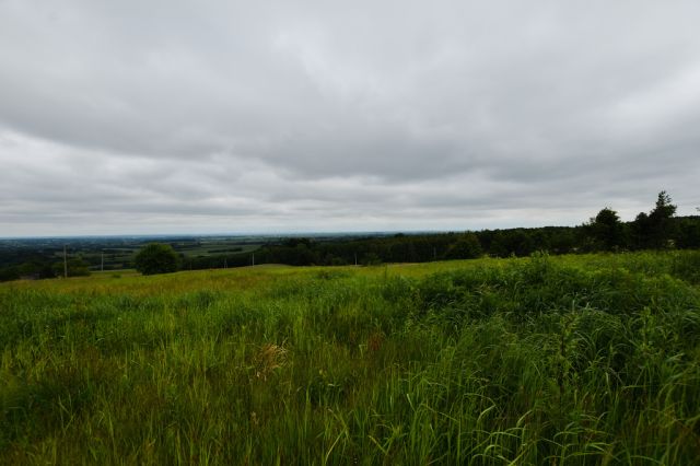 Działka budowlana Handzlówka. Zdjęcie 4