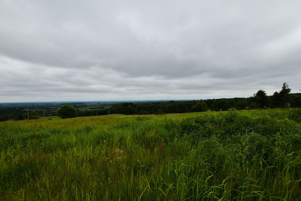 Działka budowlana Handzlówka. Zdjęcie 4