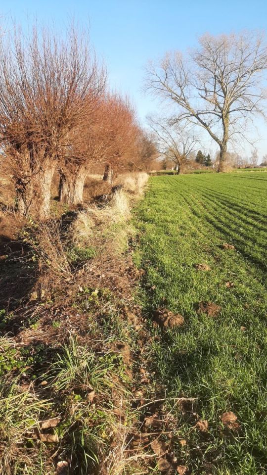 Działka budowlana Piaskowiec. Zdjęcie 4