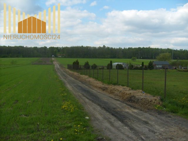 Działka rolna Dębe Wielkie. Zdjęcie 3