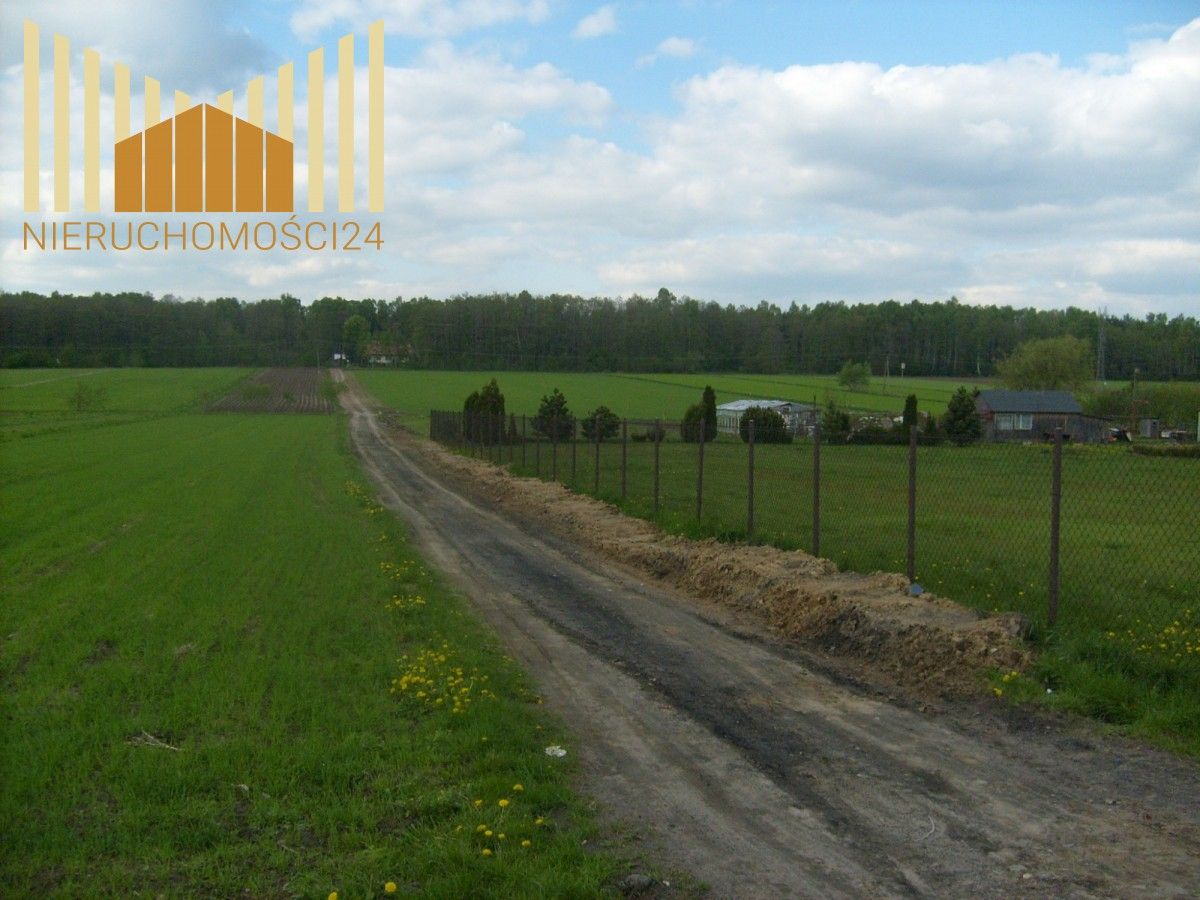 Działka rolna Dębe Wielkie. Zdjęcie 3