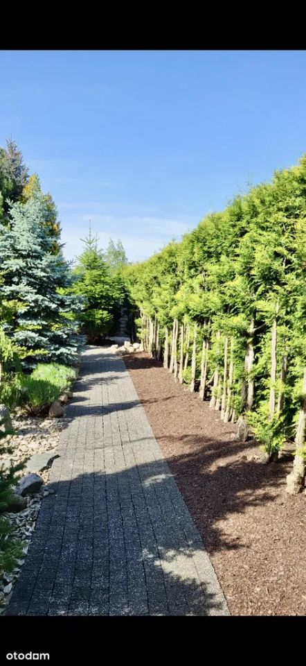 dom wolnostojący, 6 pokoi Płock Podolszyce, Boryszewo Nowe. Zdjęcie 4