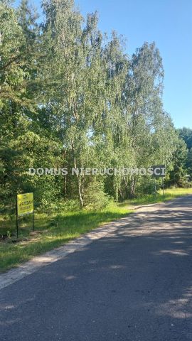 Działka inwestycyjna Grzmiąca. Zdjęcie 8
