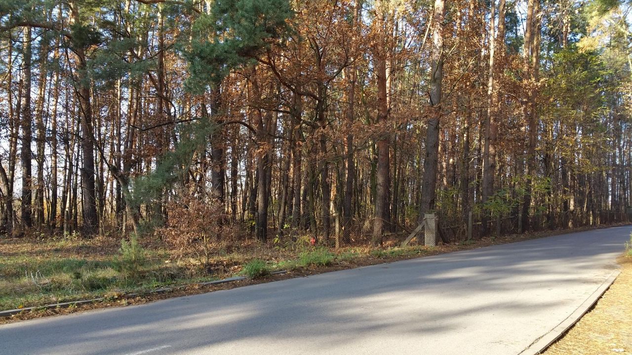 Działka inwestycyjna Marylka, ul. Akacjowa. Zdjęcie 3