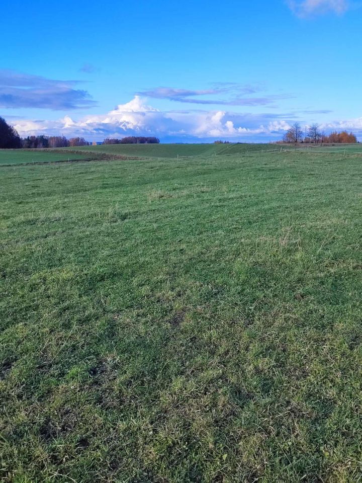 Działka budowlana Szemudzka Huta, ul. Grillowa. Zdjęcie 5