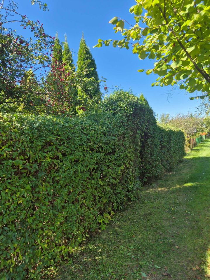 Działka rod Zabrze. Zdjęcie 2