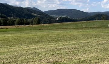 Działka budowlana Muszyna Ćwierci, ul. Ogrodowa
