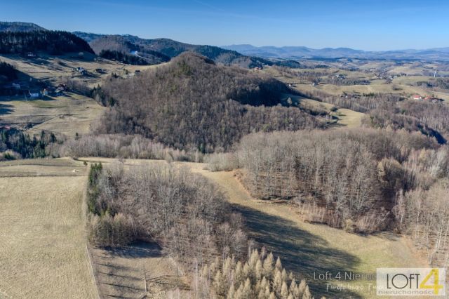 Działka budowlana Obłazy Ryterskie. Zdjęcie 8