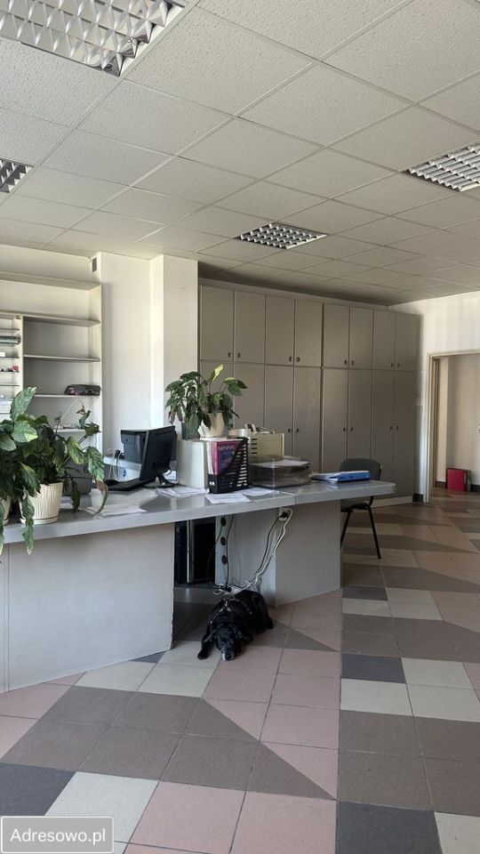 Lokal Ełk Centrum, ul. Kazimierza Pułaskiego. Zdjęcie 7