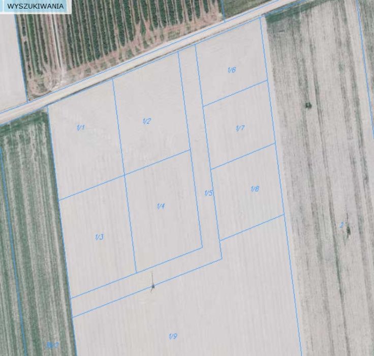 Działka budowlana Wilczyn. Zdjęcie 2