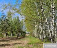 Działka budowlana Plewki. Zdjęcie 3