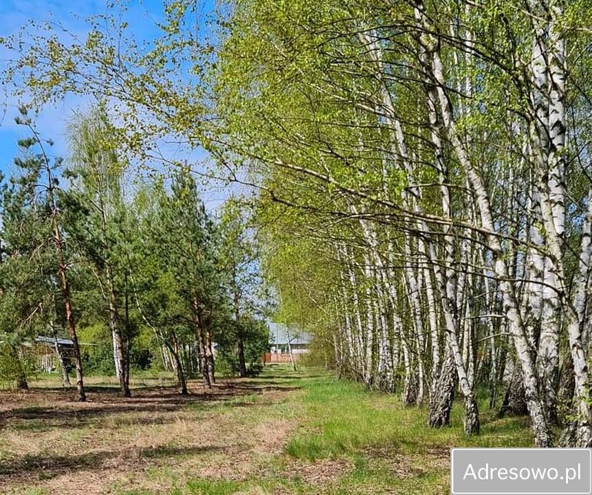 Działka budowlana Plewki. Zdjęcie 4