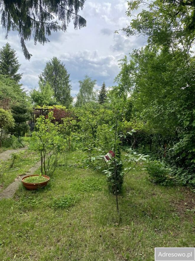 Działka rod Warszawa Zacisze, ul. Lewinowska. Zdjęcie 9