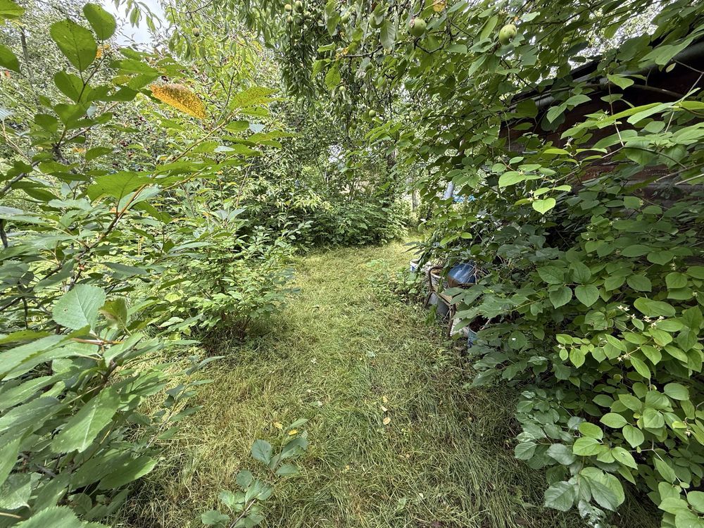 Działka rod Świdnica, ul. Podmiejska. Zdjęcie 4