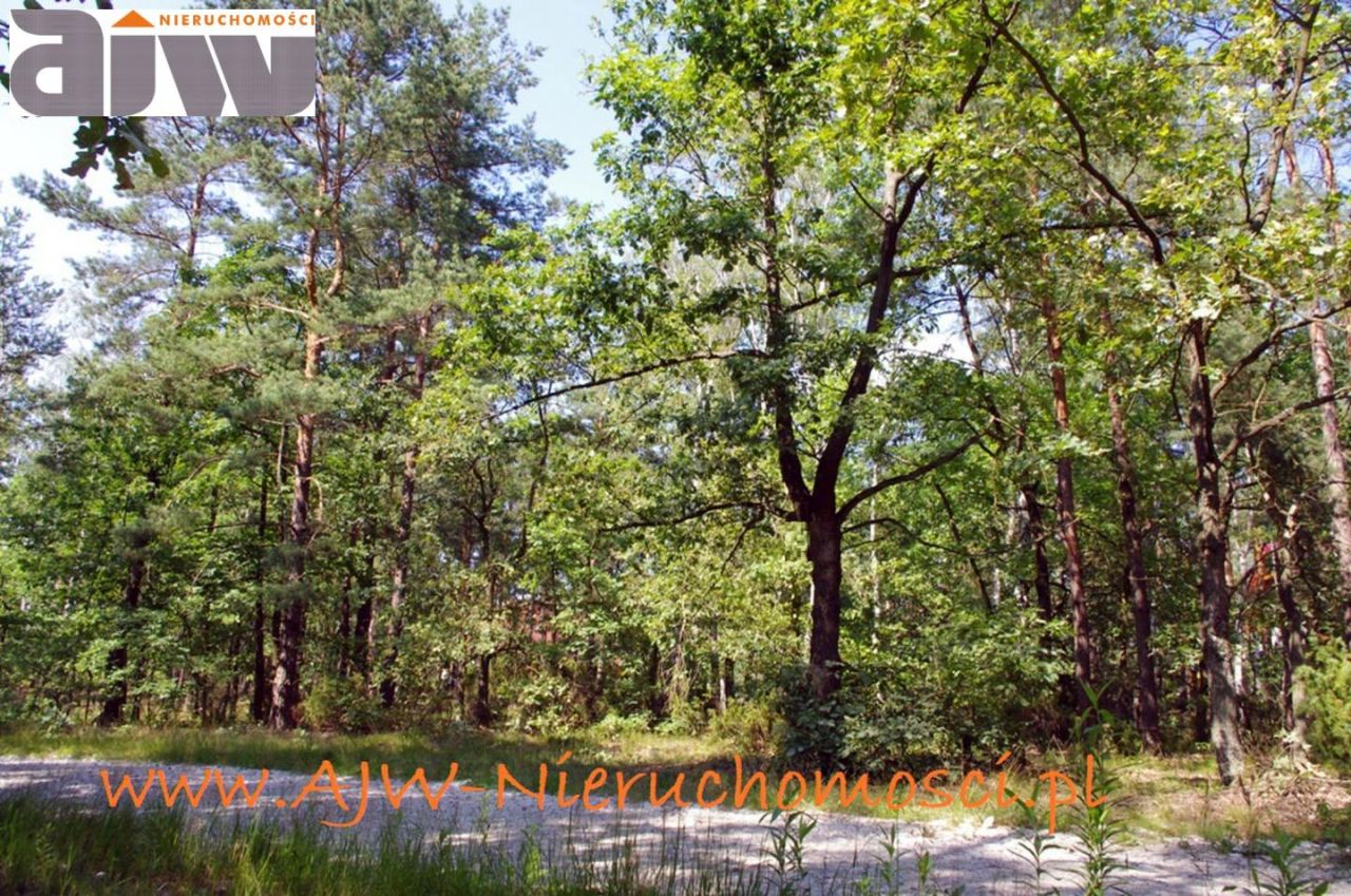 Działka budowlana Izabelin B. Zdjęcie 3