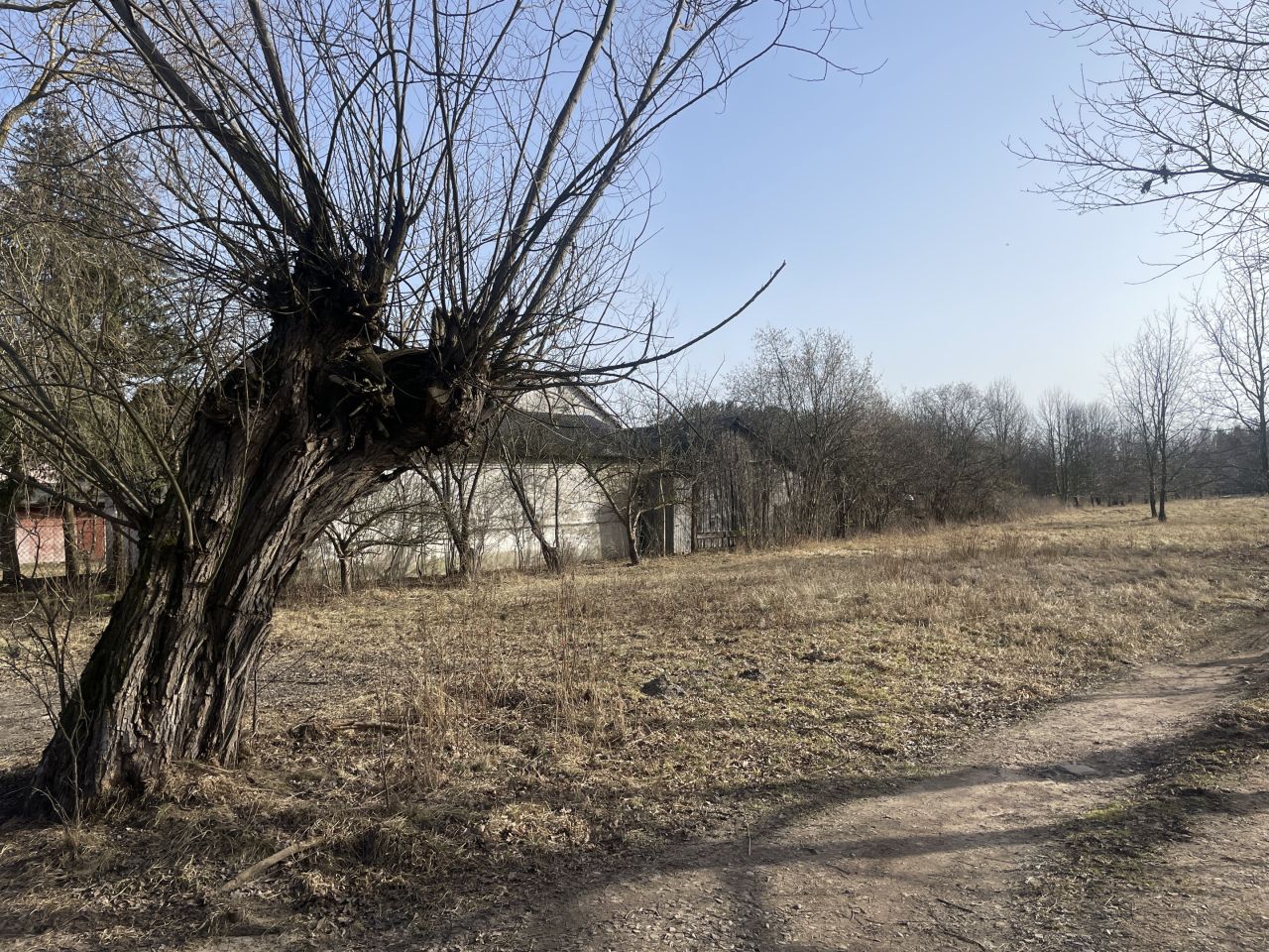 Działka siedliskowa Krzewina, Krzewina. Zdjęcie 7