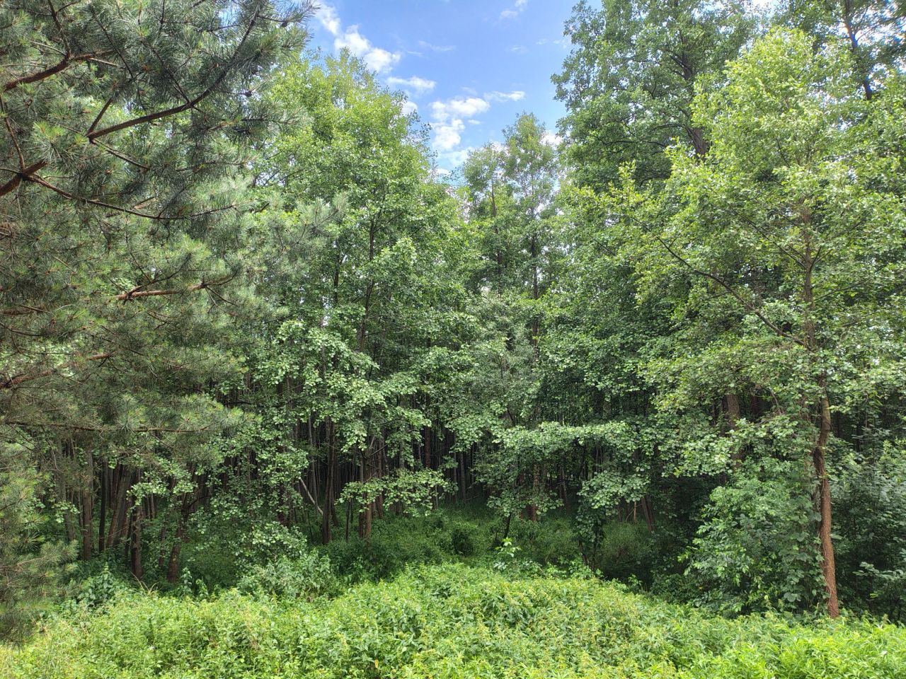 Działka inna Gorzewo, -. Zdjęcie 2