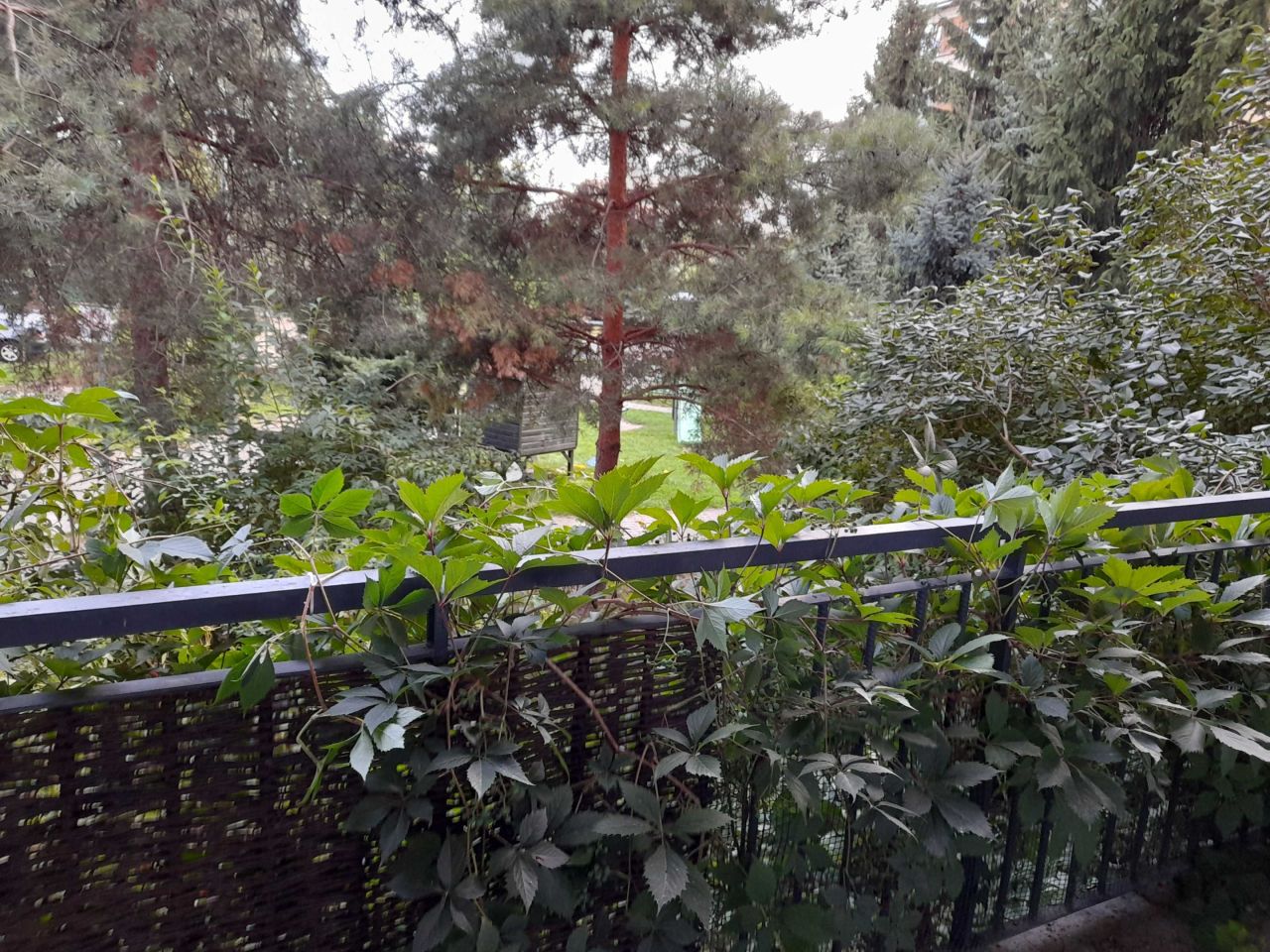 Mieszkanie 3-pokojowe Sandomierz, ul. Krzysztofa Kamila Baczyńskiego. Zdjęcie 4