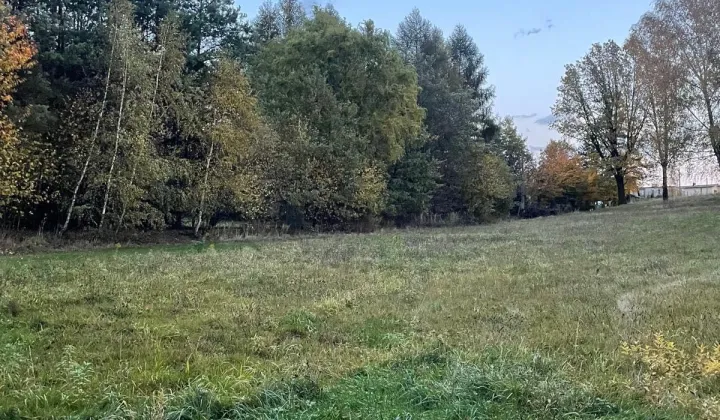 Działka budowlana Żory Rogoźna, ul. Łąkowa