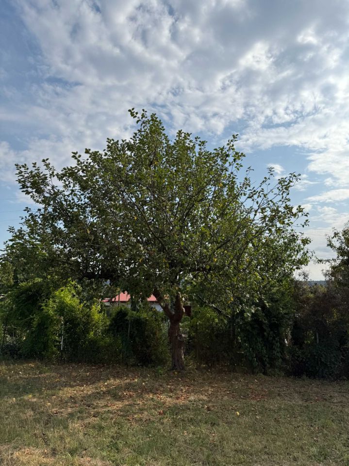 Działka budowlana Kraśnik Wyżnianka-Kolonia. Zdjęcie 8