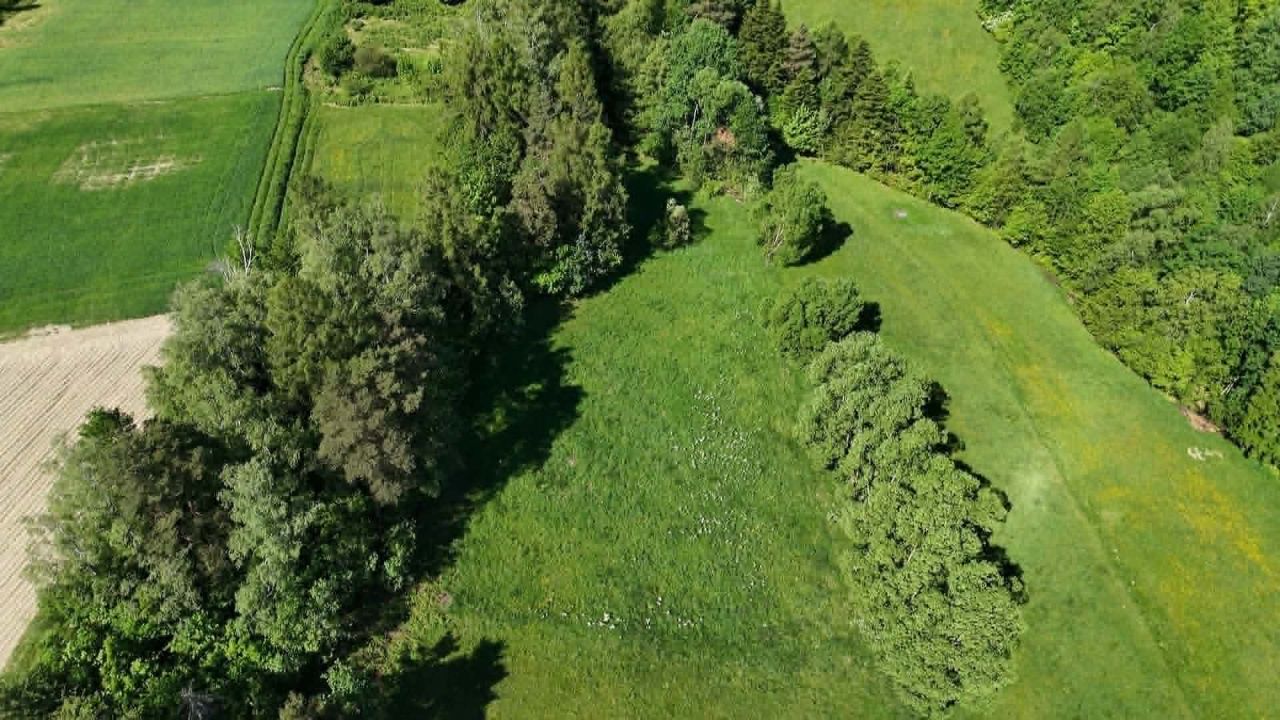 Działka rolno-budowlana Nawojowa, ul. Zamkowa. Zdjęcie 1