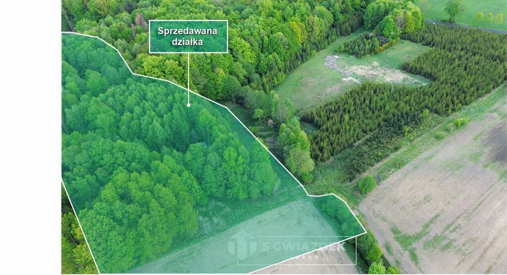 Działka budowlana Ostropole. Zdjęcie 2