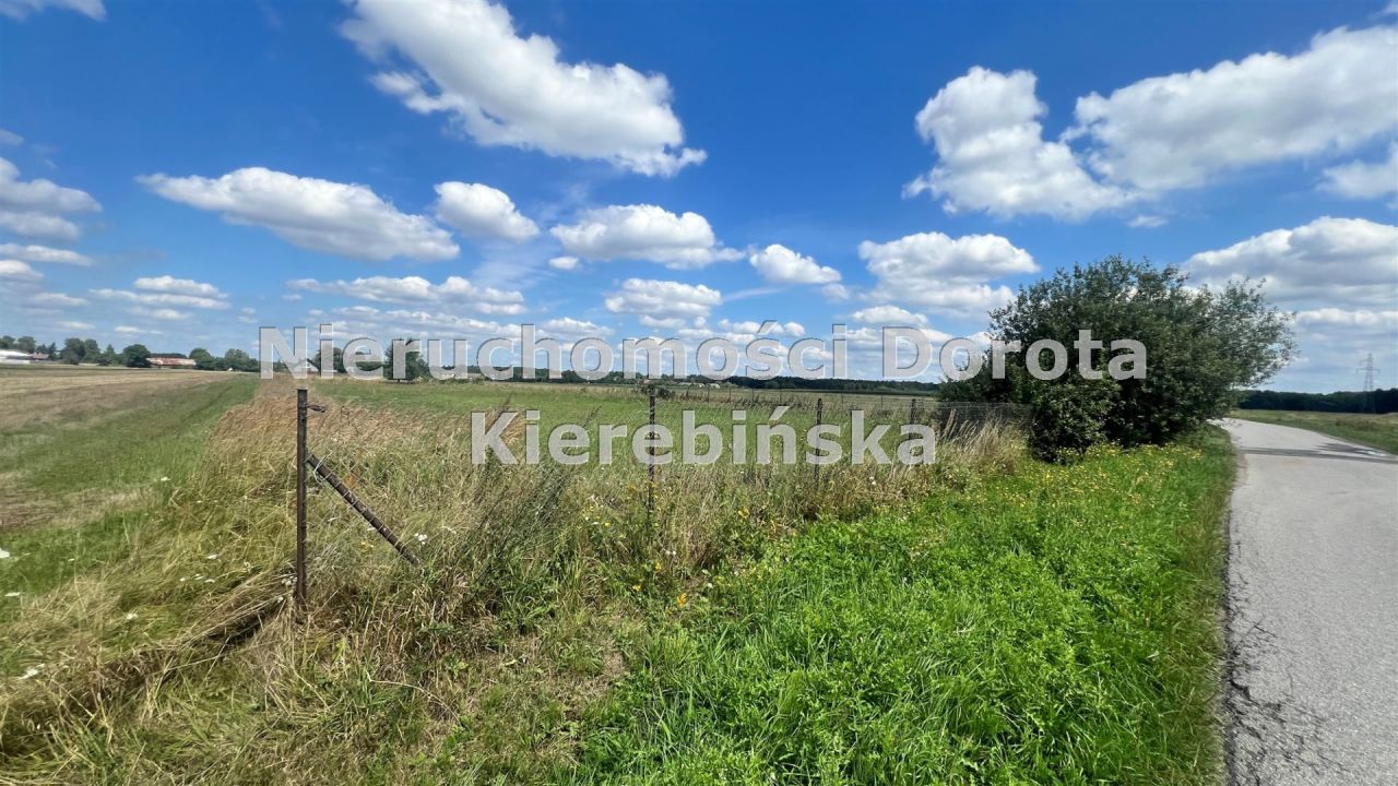 Działka budowlana Studzianki. Zdjęcie 3